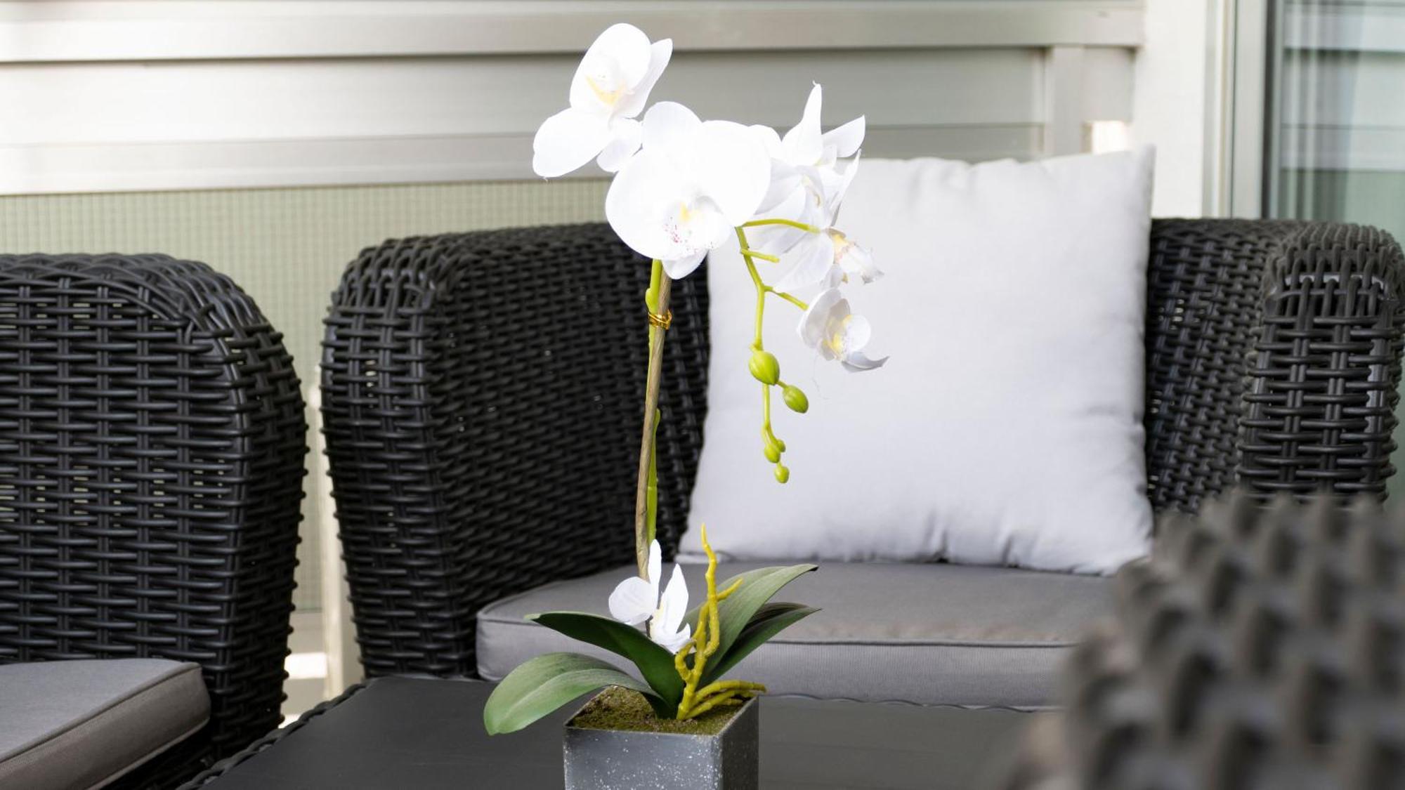 The White Corner By Homestaygrancanaria Apartment *